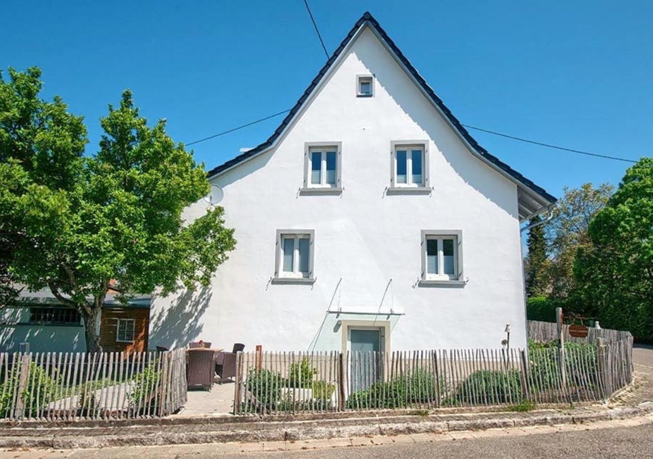 Ferienwohnung Im Weingewoelbe Staufen im Breisgau Zewnętrze zdjęcie